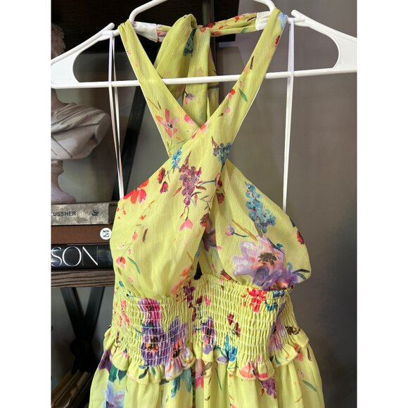 Rays for Days Louise Chiffon Mini Dress Love Bird Floral Womens Size Small - Picture 5 of 9